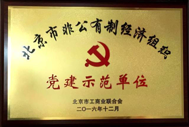 北京京通医院,非公有制经济组织党建示范单位