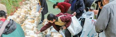 北京京通医院,采摘之旅