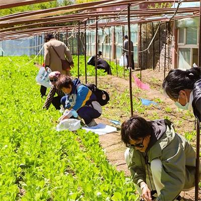 北京京通医院,欢乐忙碌的身影穿梭在采摘园中